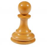 chessshogun