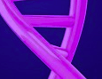 PurpleHelix