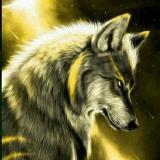 yellowwolf0412