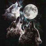 3_Wolf_Moon