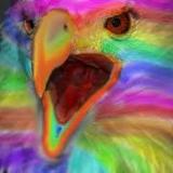 rainbow_eagle