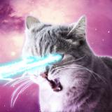 Lasercats