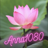 Anna1080
