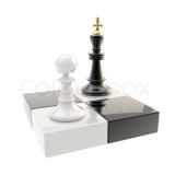 Chesspawn06139