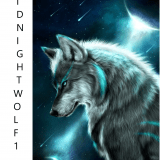 Midnight_Wolf1