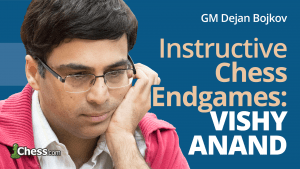 Anand's 3 Best Endgames