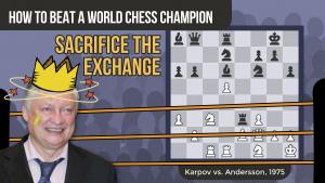 How To Beat A World Chess Champion: Karpov vs Andersson