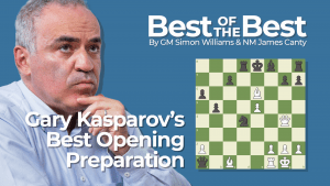 Garry Kasparov's Best Opening Preparation