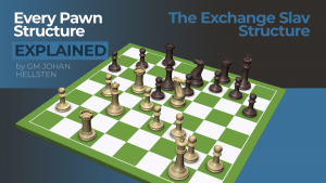 The Exchange Slav Structure: Every Pawn Structure Explained