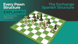 The Exchange Spanish Structure: Every Pawn Structure Explained